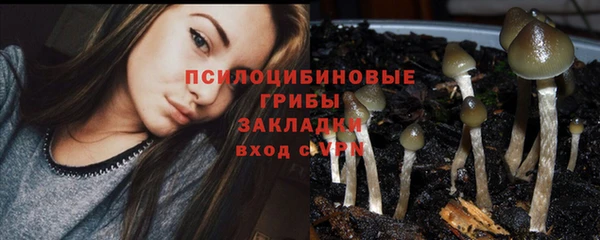 кокс Аша