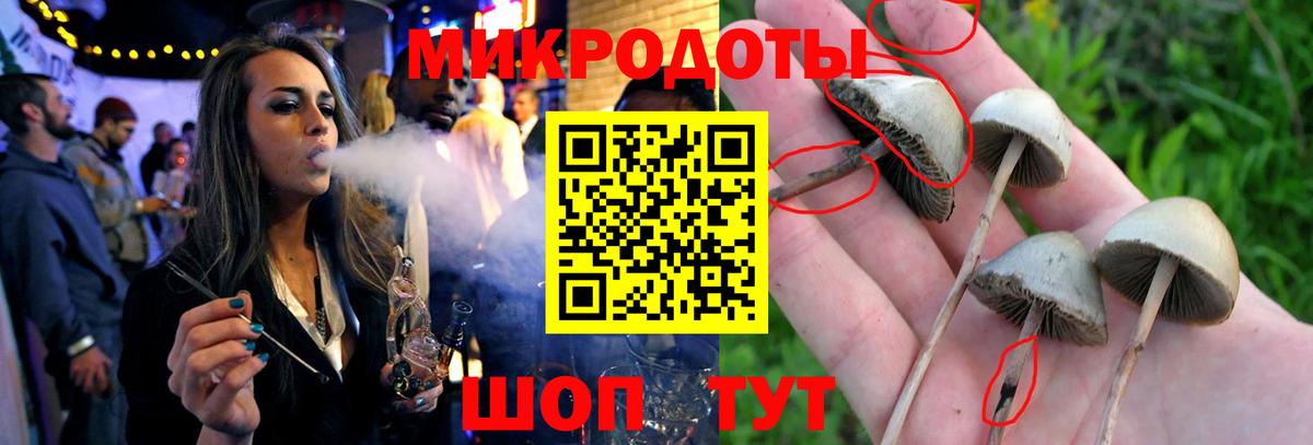 Одинцово  Псилоцибиновые грибы Psilocybine cubensis  Вход с VPN  Галлюциногенные грибы GOLDEN TEACHER 