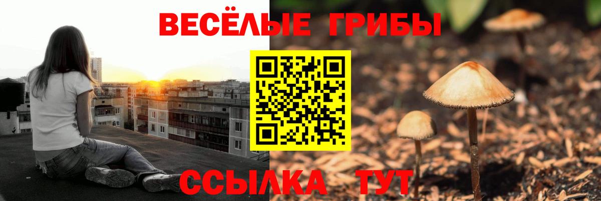 Галлюциногенные грибы мухоморы Одинцово